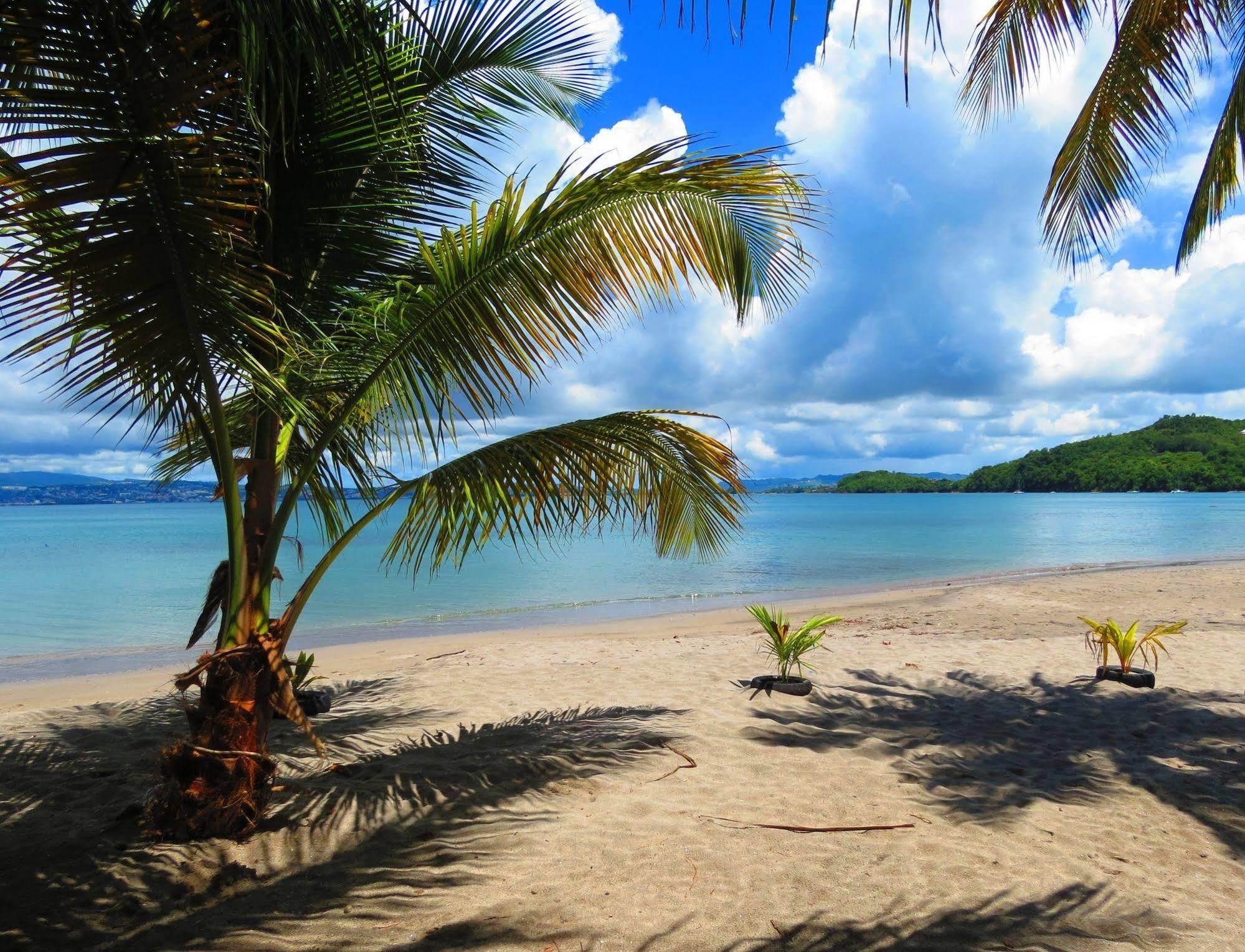 Domaine De L'Anse Ramier Aparthotel Les Trois-Ilets Exteriör bild