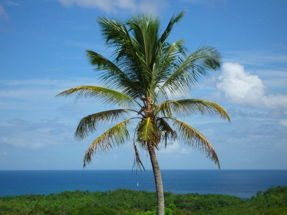 Domaine De L'Anse Ramier Aparthotel Les Trois-Ilets Exteriör bild